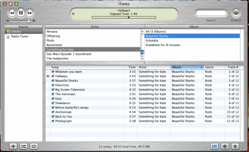 iTunes Main Window